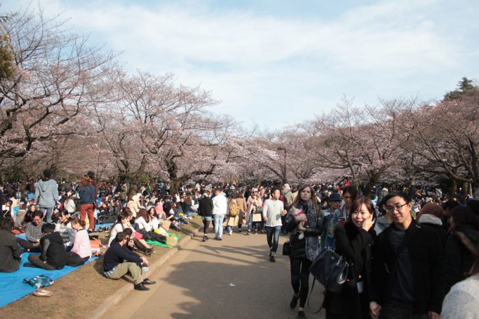 代々木公園のお花見 酒 食料の購入 酒やピザ等のデリバリー Floater S Waltz